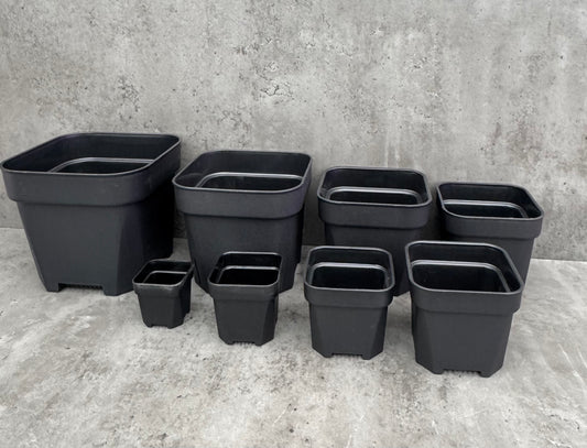 Square breeding pot bunker from 6cm height