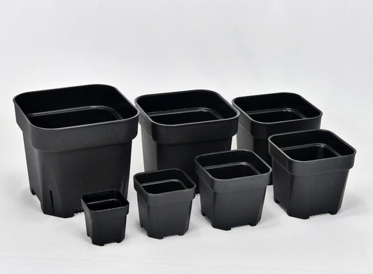 Square breeding pot bunker from 6cm height