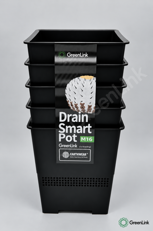 Drain Smart Drainage Pot //Drainage Smart Pot - EXTRA DEEP 12T (also suitable for orchids)