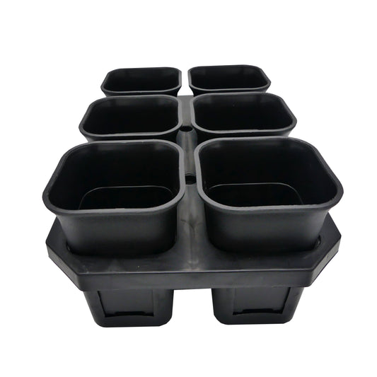 Cultivation pot box with saucer and holder function for 6