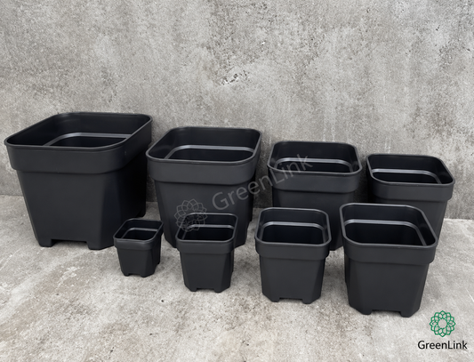 Square breeding pot bunker from 6cm height