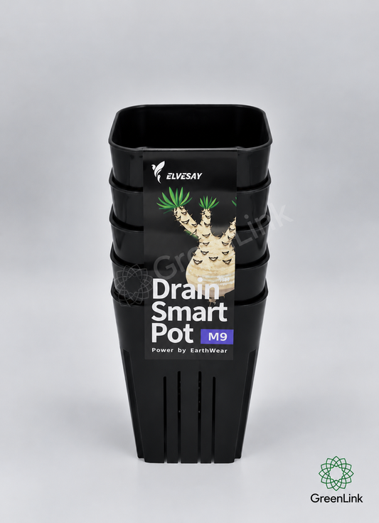 DrainSmart M9 Breathing Pot for Cacti, Caudex Plants & Succulents