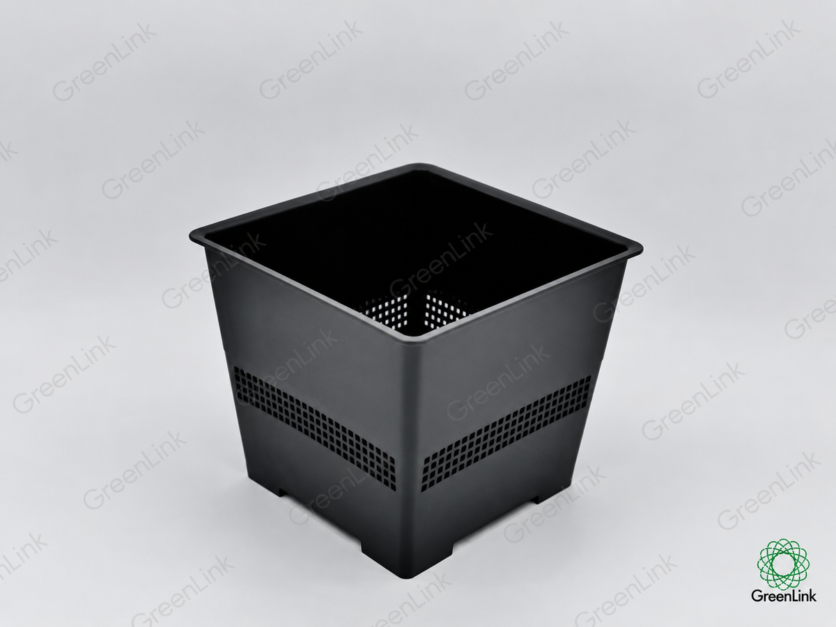 DrainSmart Topf S16 Kakteen, Orchideen, Caudex Pflanzen und Sukkulenten