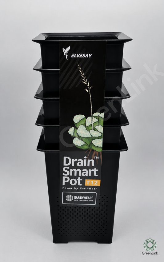 DrainSmart Topf T12 - DrainSmart für Rübenwurzler (one Pot) Kakteen, Caudex Pflanzen und Sukkulenten