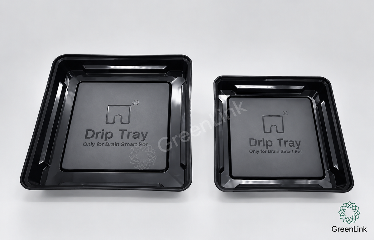 DrainSmart-Untersetzer Kakteen, Caudex Pflanzen und Sukkulenten